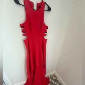 This Dress Is Fire. 🔥 BCBG NWT $$$338 Worth Every Penny High Low & Super Sexy